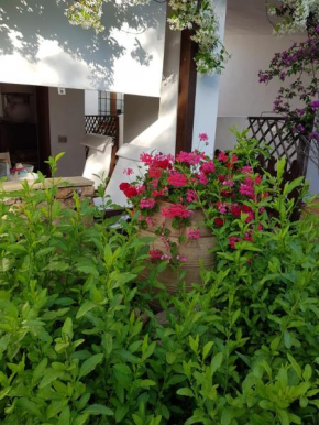 Bellissima casa a Porto Rotondo